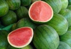 热门大瓜每日必吃大瓜合集