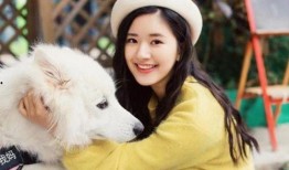 赵露思否认整容 吃瓜爆料在线入口网址,吃瓜爆料入口大公开