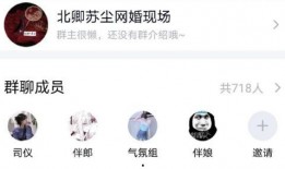 qq瓜群,揭秘网络社交的趣味与争议