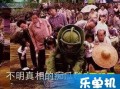 朝阳吃瓜群众什么意思,网络热词背后的社会现象