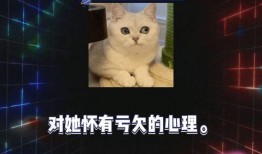 吃瓜网官网免费观看 娱乐八卦视频哪里看,免费畅享娱乐八卦视频的绝佳平台